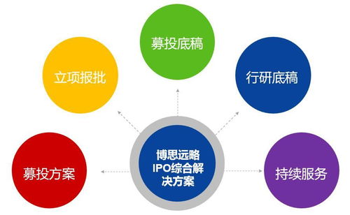 募投項目可行性研究與細分市場行業(yè)調(diào)查的詳細內(nèi)容解析