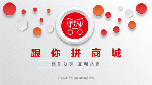 網(wǎng)絡(luò)技術(shù)服務(wù)戰(zhàn)略規(guī)劃與詳解